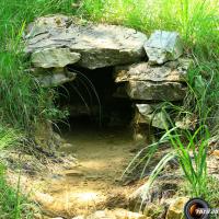 la source des Charbonniers