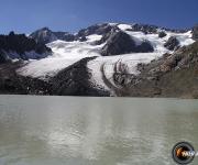 Lac quirlies photo1