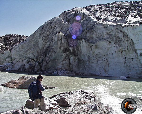 Le glacier plongeant dans le lac.