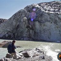 Le glacier plongeant dans le lac.