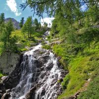 Cascade