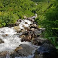 Le ruisseau de la Balme.