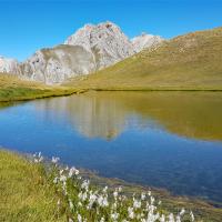 Un des lacs du Cogour.