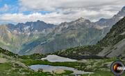 Lacs petarel photo