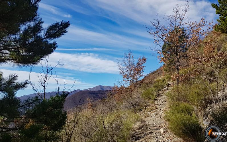 Sur le beau sentier de montée.