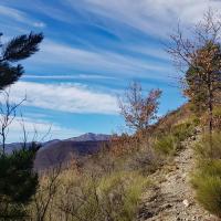 Sur le beau sentier de montée.
