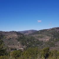 Les collines de Giono.