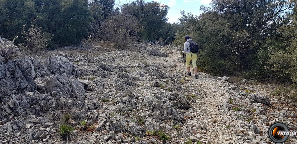 Au point le plus haut de la rando.