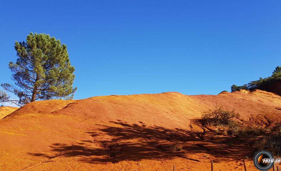 Le Sahara.