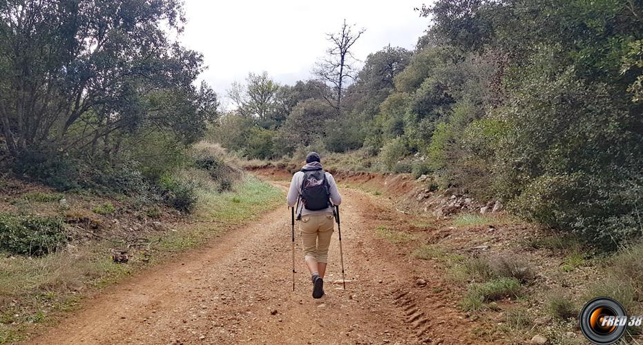 La piste montant à la vigie.