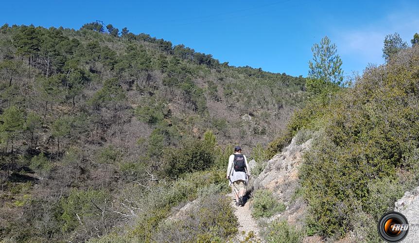 Le sentier surplombant le ruisseau.