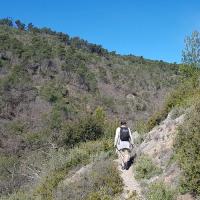 Le sentier surplombant le ruisseau.