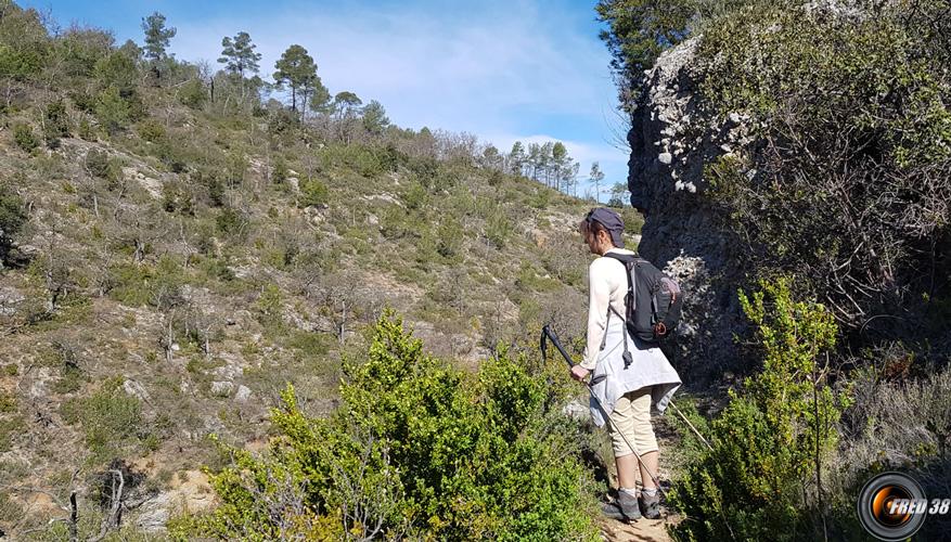 Le sentier surplombant le ruisseau.