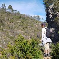 Le sentier surplombant le ruisseau.