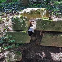 La petite source.