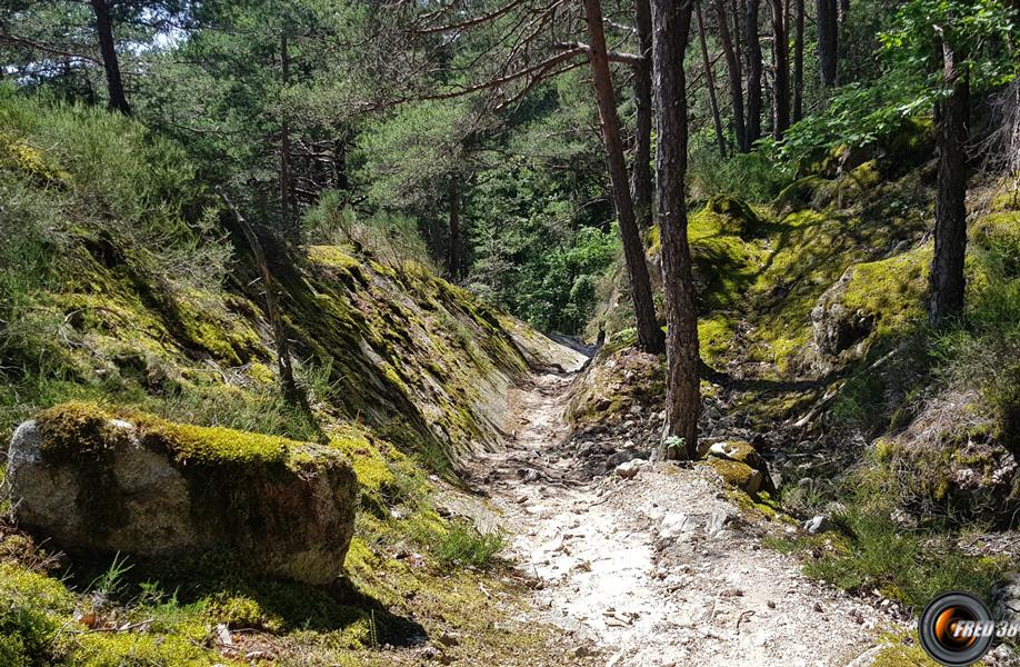 Dans la descente.