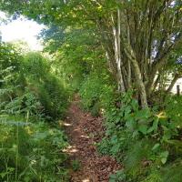 Le sentier au début