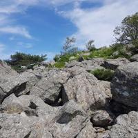 Montée aux Roches (hors itinéraire)