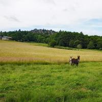 A la Batie, en fond les Roches