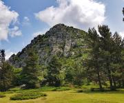 Mas cent mt gerbier de jonc photo