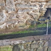 La source de la Loire