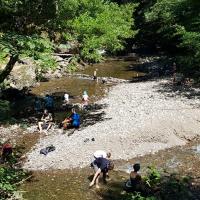 Au fond des gorges.