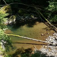 Au fond des gorges.