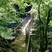 La passerelle.