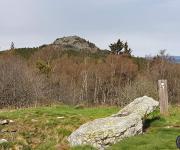 Mas cent pic du lizieux chieze photo