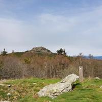 Le Lizieux vu du menhir.