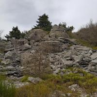Dans la zone rocheuse.