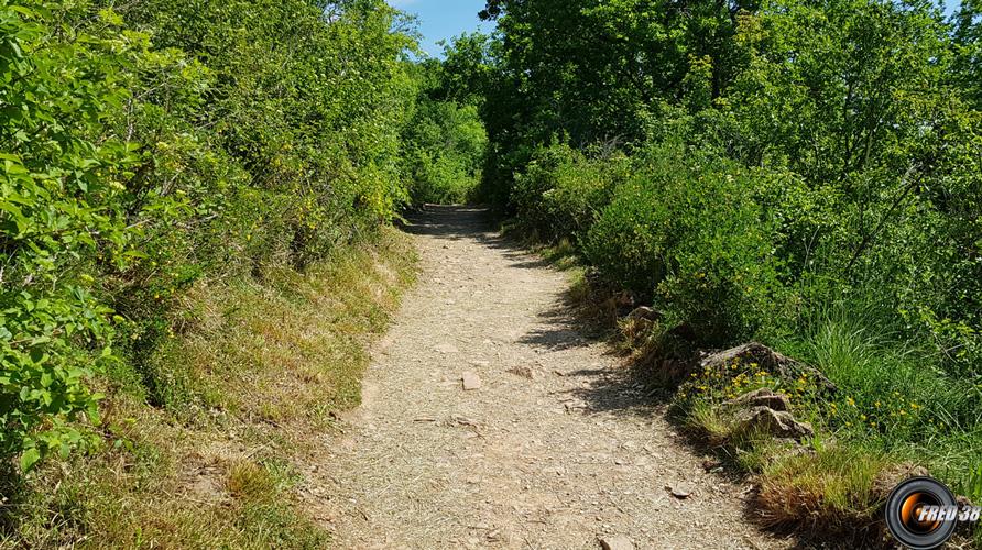 Début du sentier.