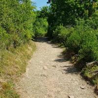 Début du sentier.