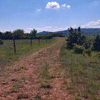 Sommet du mont de Pouilly.