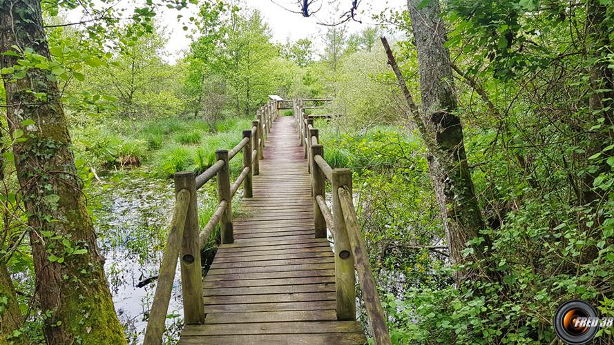 La passerelle faisant une boucle au dessus de l'eau