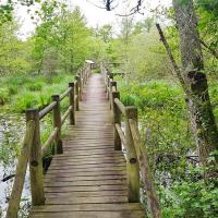 La passerelle faisant une boucle au dessus de l'eau