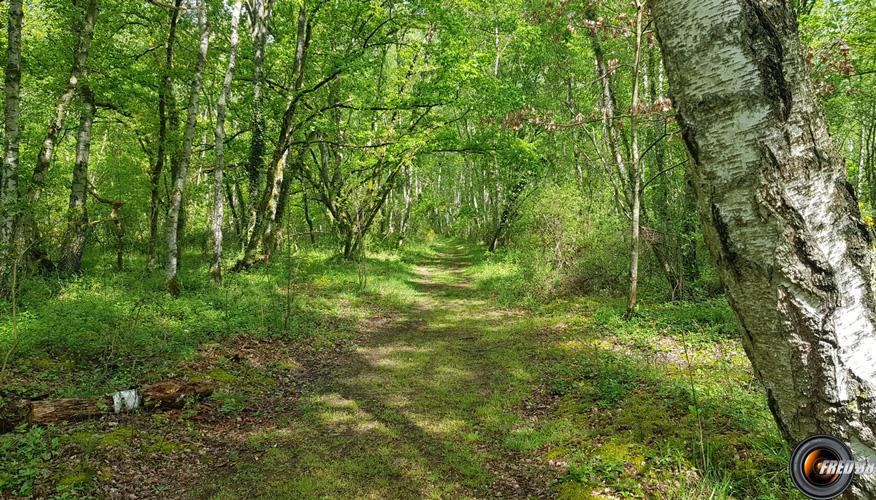 Début du sentier côté dunes