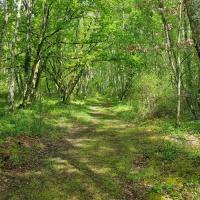 Début du sentier côté dunes