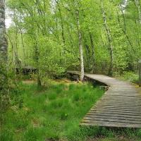La passerelle