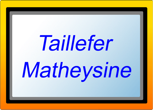 Logo touche massif taillefer