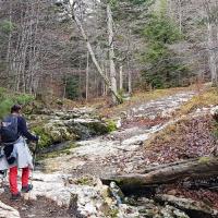 Traversée du ruisseau.