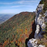 Vue du belvédère.