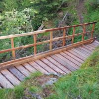 La passerelle en bois