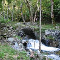 Ruisseau de rif Bruyant.