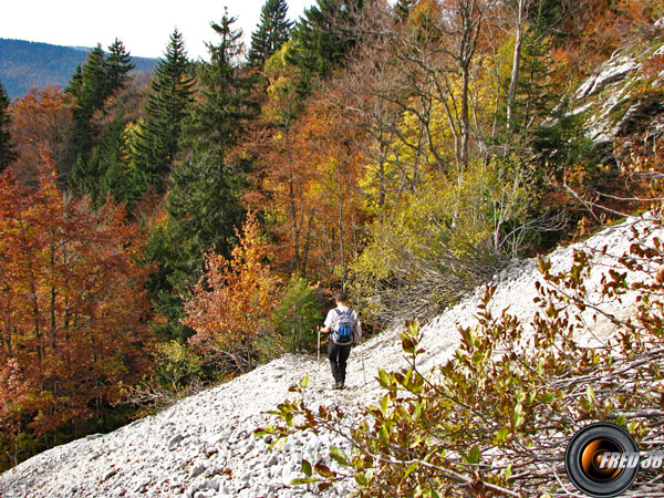 Près du col de Rossanaz