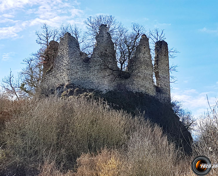 Ruine du Chatelard.