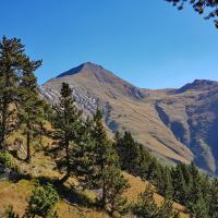 Le sommet
