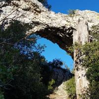 Passage de l'arche.
