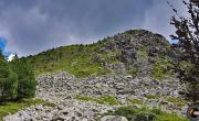 Mont mezenc photo
