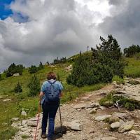Sortie en alpage.